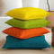 Cotton Canvas Cushion Cover
