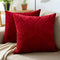 Embossed Velvet Red Cushion Cover (Pack of 2)
