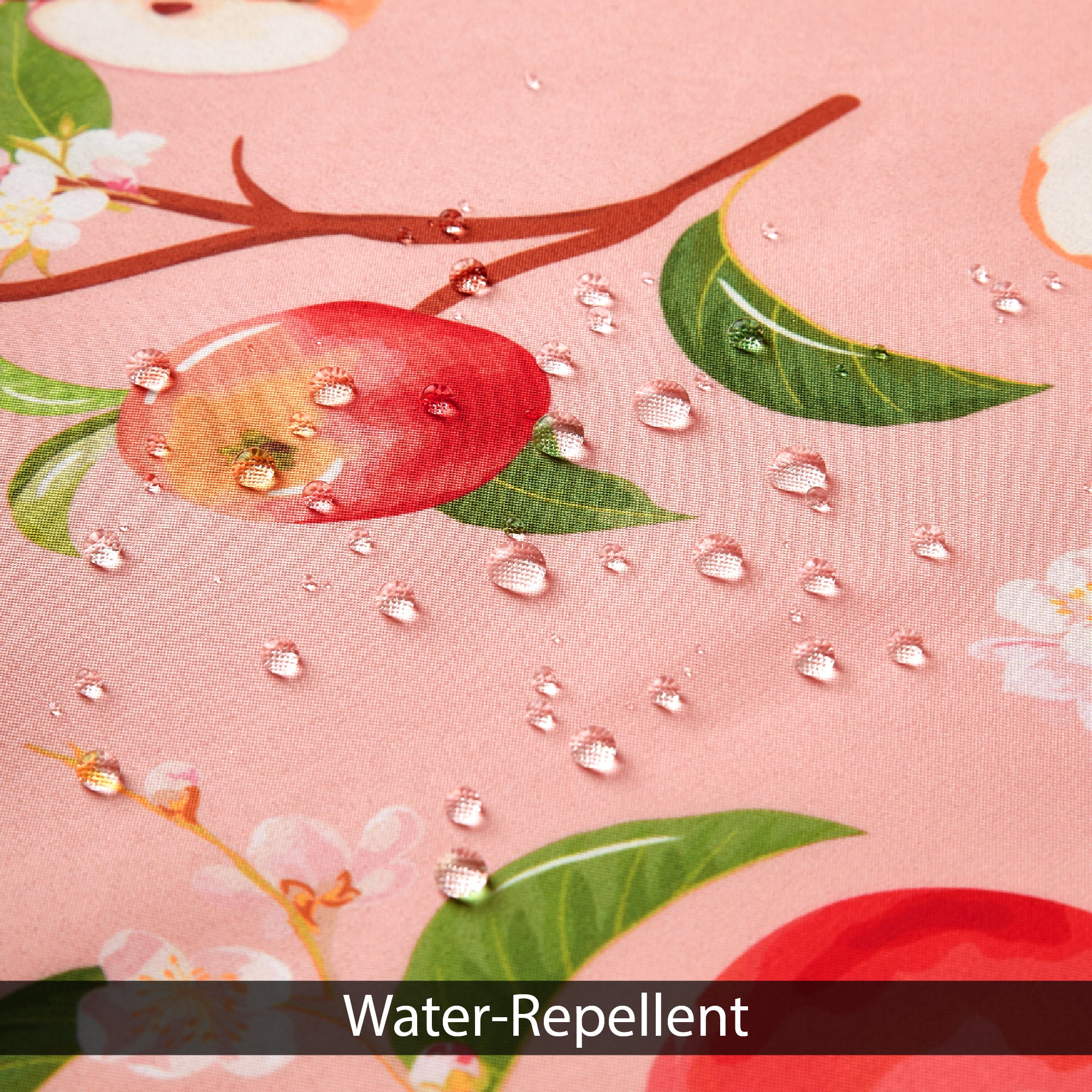 Polyester Apple Shower Curtain (Pack of 1)