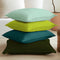 Cotton Canvas Cushion Cover