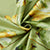 Blackout Polyester Gingko Green Curtain (Pack of 2)