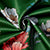 Blackout Polyester J2 Green Curtain (Pack of 2)