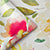 Blackout Polyester F1 Sunshine Cushion Cover (Pack of 2)