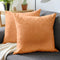 Embossed Velvet Peach Cushion Cover (Pack of 2)