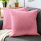 Embossed Velvet Pink Cushion Cover (Pack of 2)