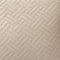 Quilted Velvet Beige Cushion Cover (Pack of 2)