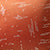 Blackout Polyester Citylight Orange Curtain (Pack of 2)