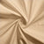 Polyester Beige Curtain (Pack of 2)