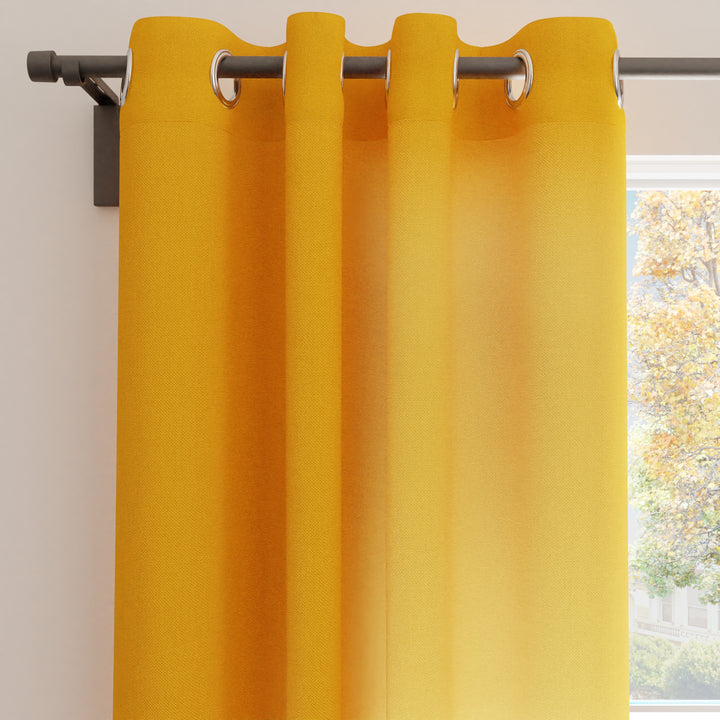 Canvas Mango Curtain (Pack of 1)