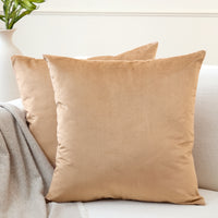Velvet Gold Cushion Cover (Pack of 2)
