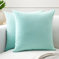 Cotton Canvas Cushion Cover