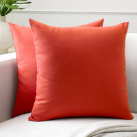 Cotton Canvas Cushion Cover