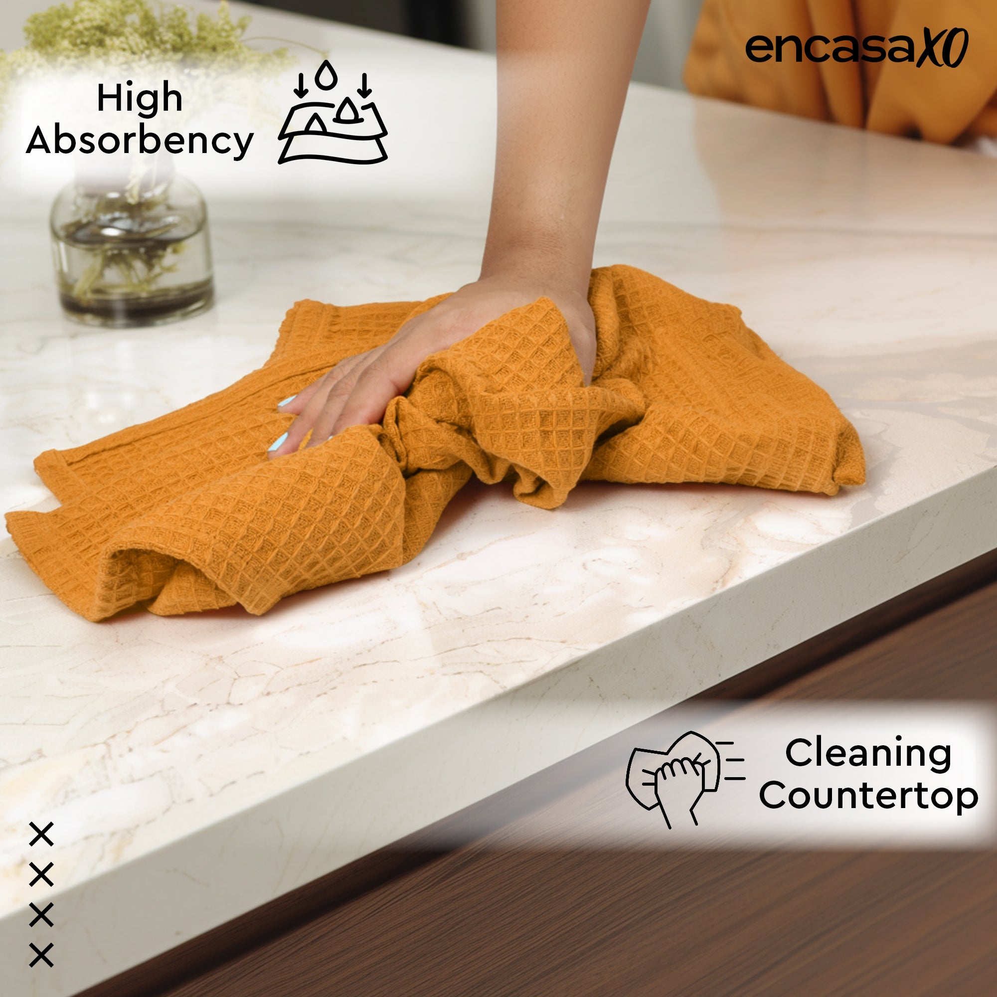 Cotton Gold Kitchen Towel (Pack of 4)