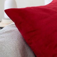 Velvet Red Cushion Cover (Pack of 2)