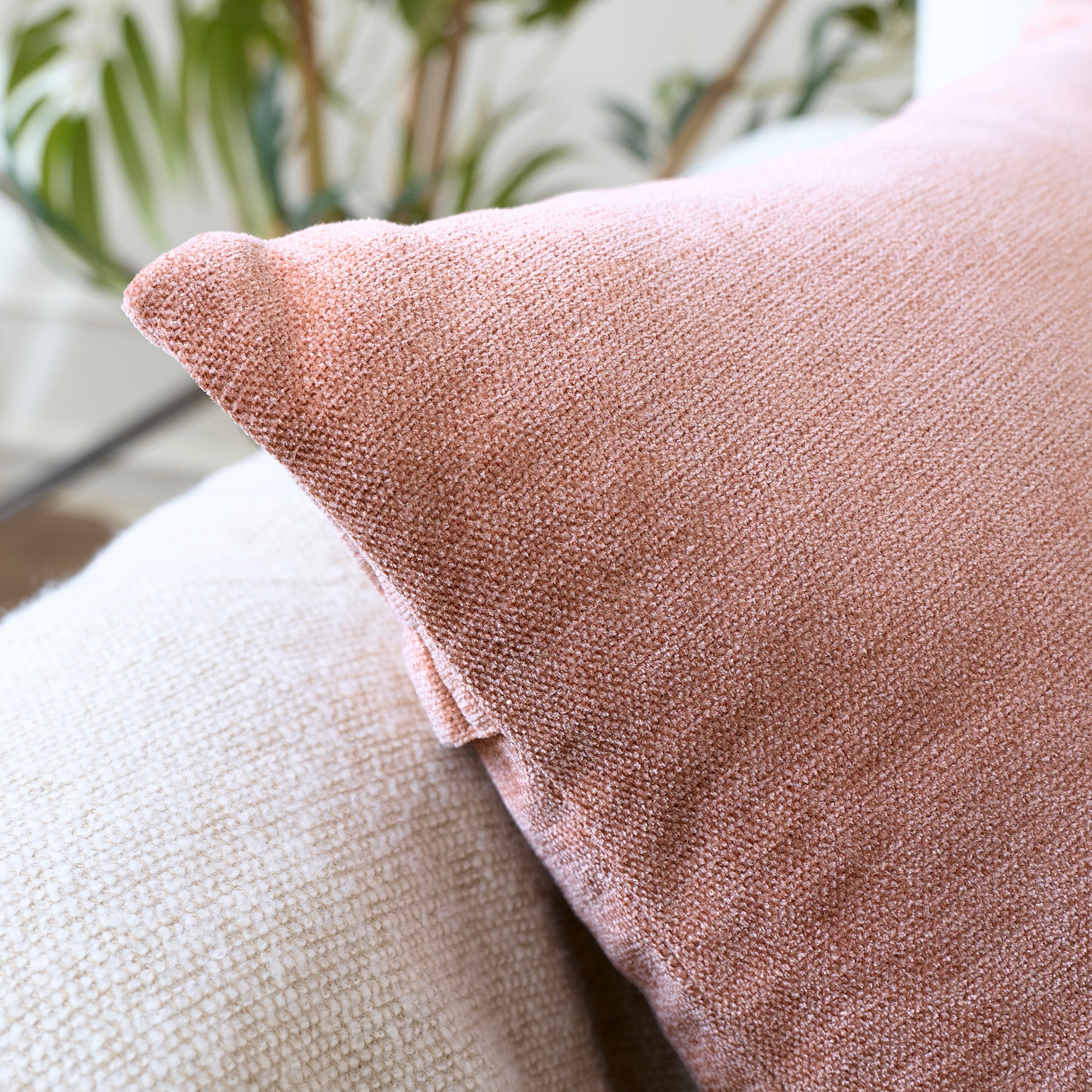 Chenille Buff Cushion Cover (Pack of 2)