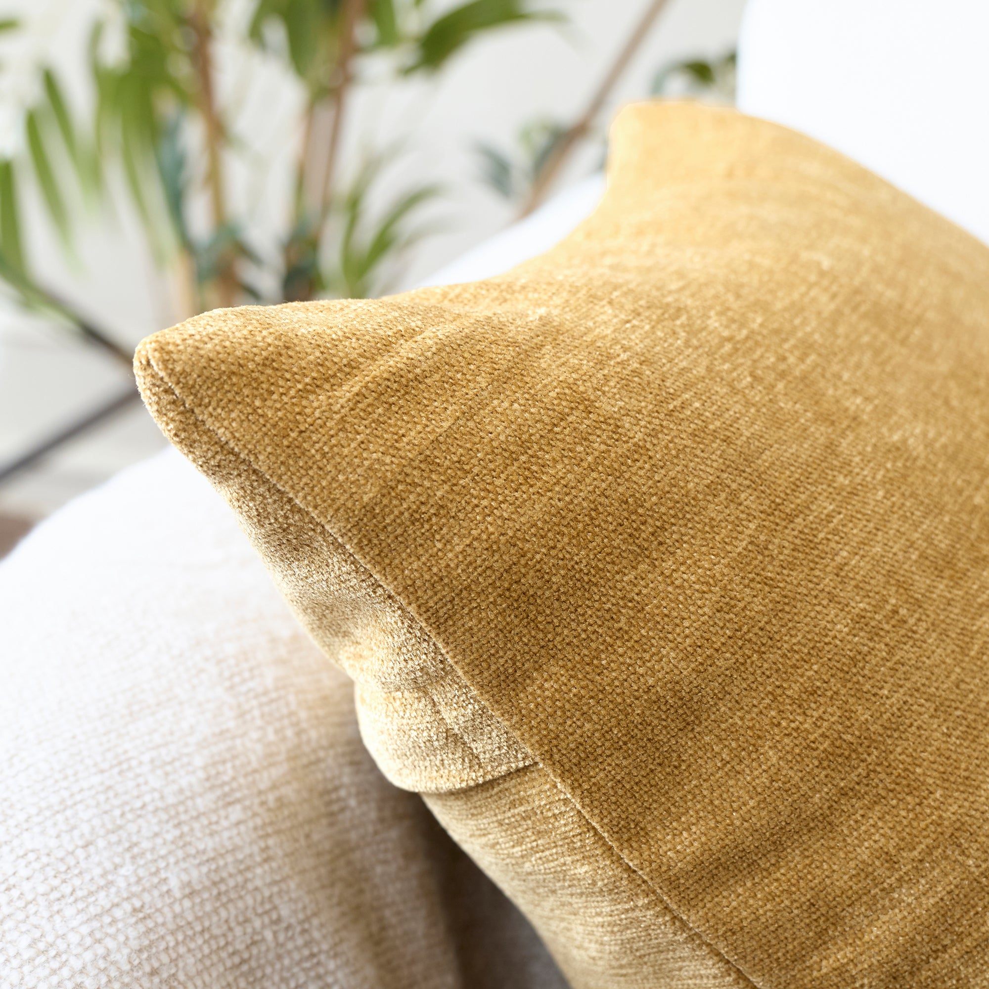 Chenille Mustard Cushion Cover (Pack of 2)