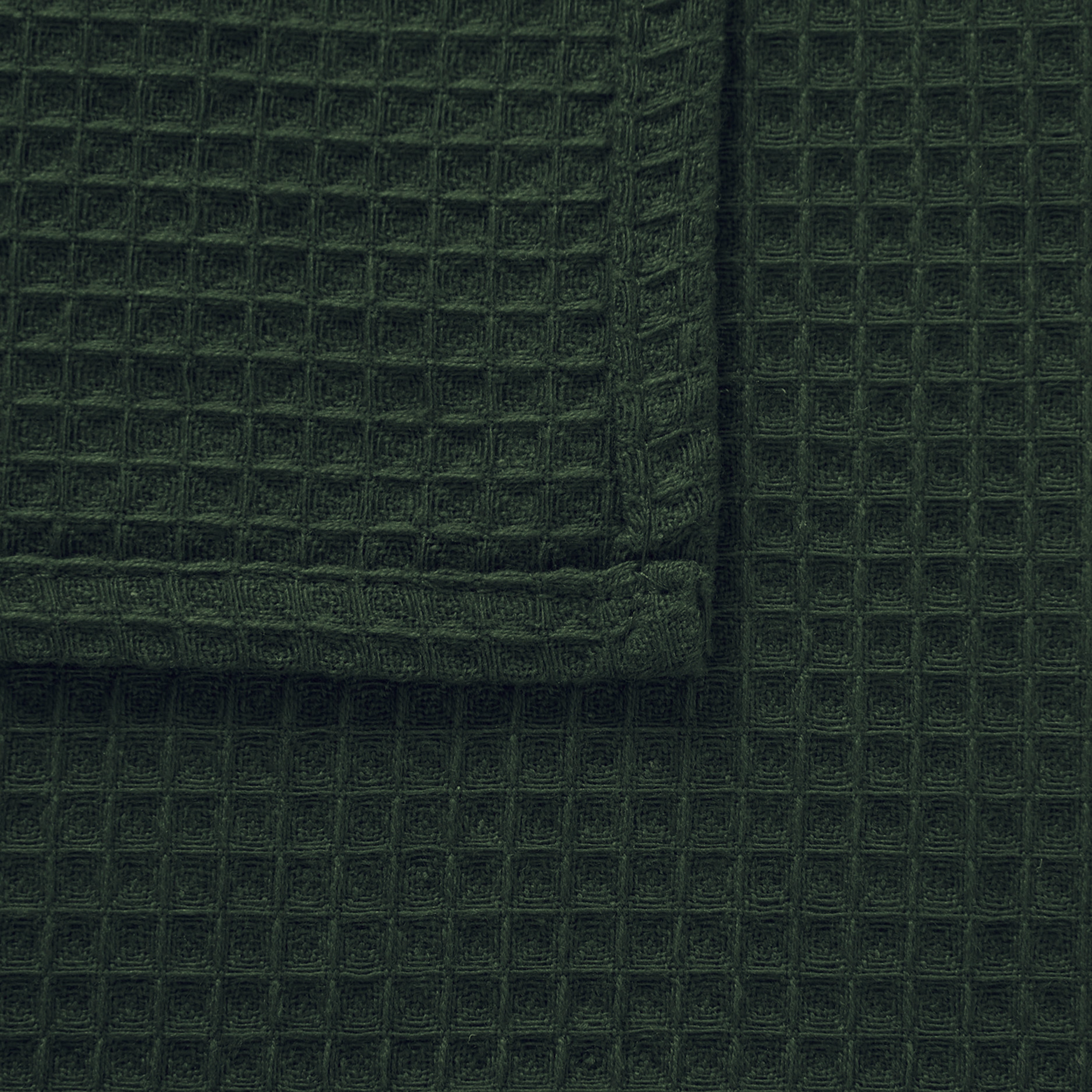 Cotton Green Dish Towel (Pack of 24)