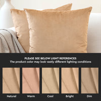 Velvet Gold Cushion Cover (Pack of 2)