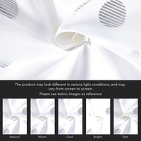 Micro Dollar White Curtain (Pack of 2)
