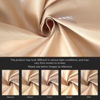 Polyester Dollar Beige Curtain (Pack of 2)