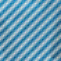 20s Sheeting Blue Line Fabric (1 Meter)