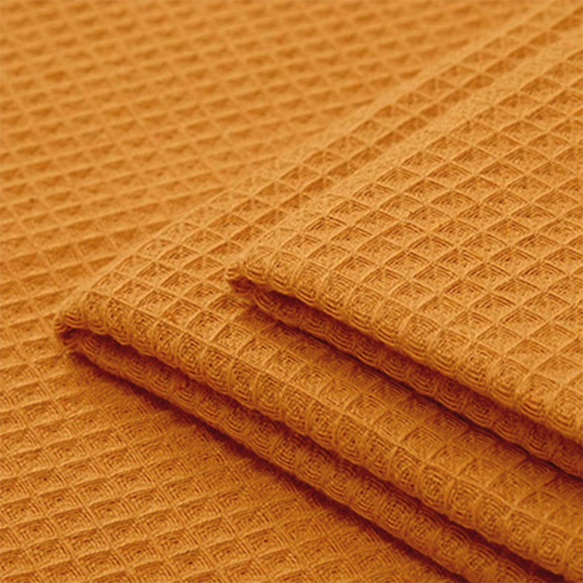 Cotton Gold Kitchen Towel (Pack of 4)