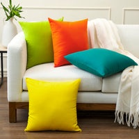 Cotton Canvas Cushion Cover