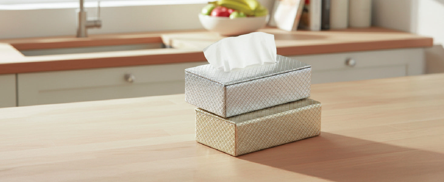 Faux Leather Silver Tissue Box (Pack of 1) by Encasa XO